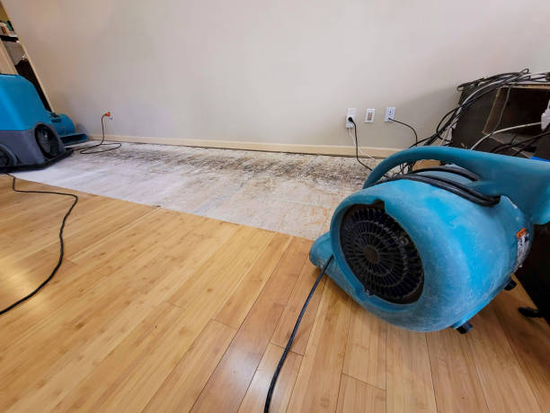 Reliable Basement Flood Cleanup contractor in Kindred, ND by Hirex Water Damage