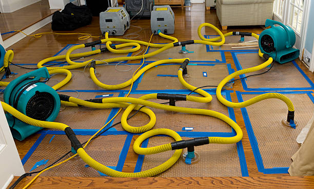 Professional Basement Flood Cleanup technician working in Kindred, ND